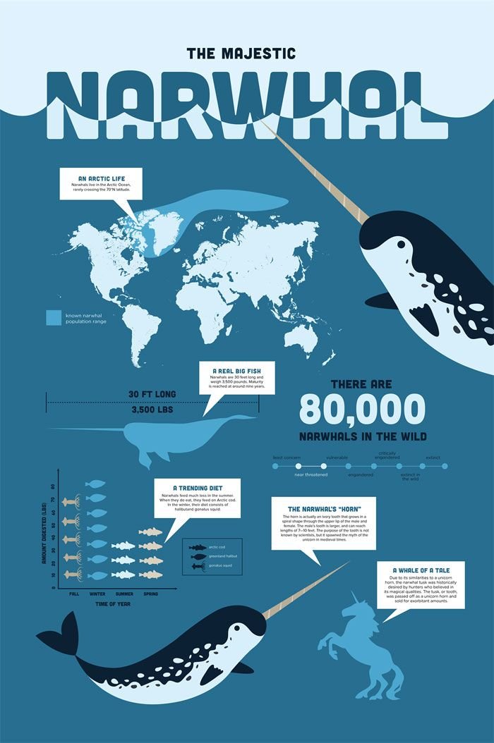 Presentations - Infographics sample 13
